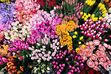 魔女与人类的校园恋爱物语 —— 乙女游戏《MAJESTIC☆MAJOLICAL》亚洲繁中版本日发售！