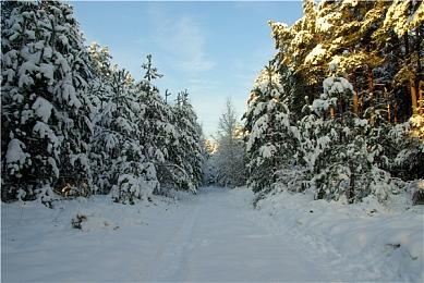 《33号远征队》官方呼吁勿将游戏武器化传播仇恨 或反击不利舆论