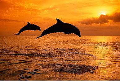 《水烟水雾》7月登陆PC＆Switch 浪漫恋爱冒险