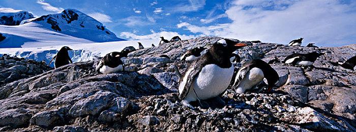 《鬼玩人：游戏版》四代阿什同框 均由布鲁斯·坎贝尔配音